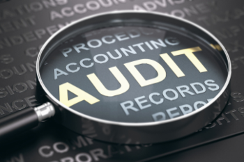 Audit reveals ‘deficiencies’ councils’ record keeping  image