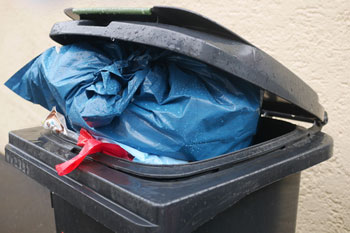 Brighton council and union reaches deal to end bin strike image