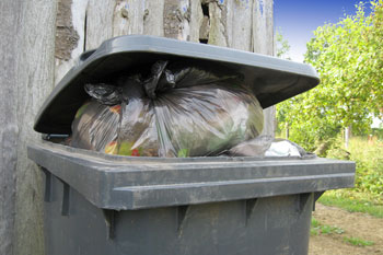 Council considers switching to a monthly bin collection image