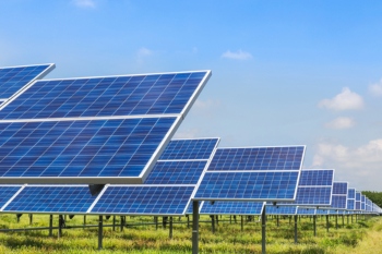 Council seeks legal advice after minister green lights solar farm   image