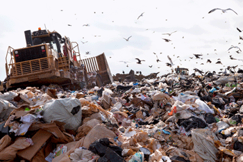 Councils agree £150m Energy from Waste facility  image