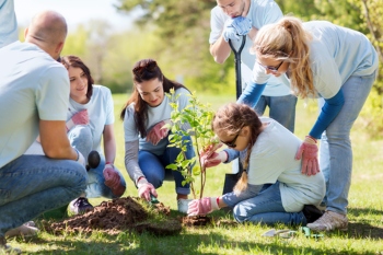Councils should involve young people in environmental policy, report says   image