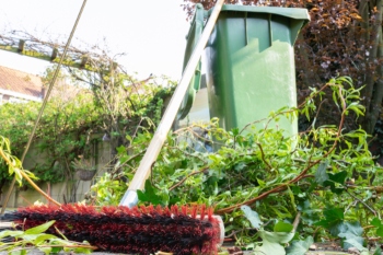 Scrapping green waste charges: the whole picture image