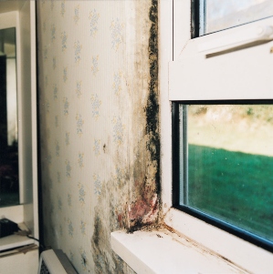 Vent-Axia Welcomes Housing Ombudsman’s Report on Damp and Mould image